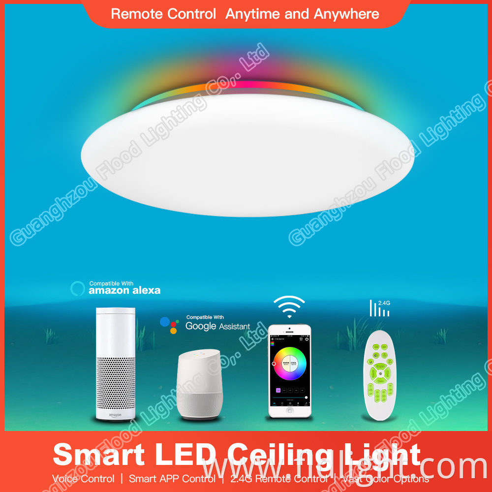 Smart LED Ceiling Lamps Ultra thin Round Dimmable modern 